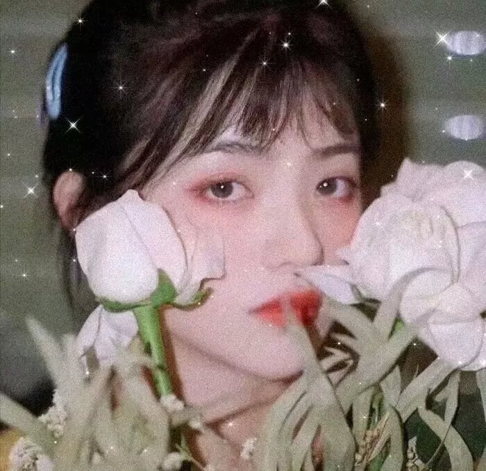 怪兽婆婆